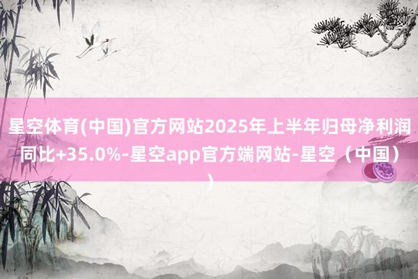 星空体育(中国)官方网站2025年上半年归母净利润同比+35.0%-星空app官方端网站-星空(中国)