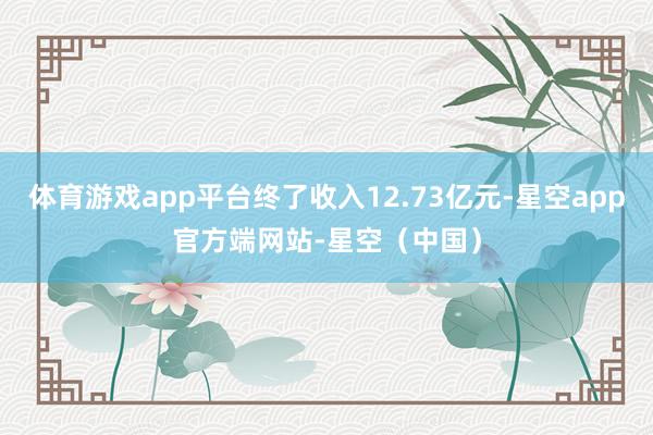 体育游戏app平台终了收入12.73亿元-星空app官方端网站-星空(中国)