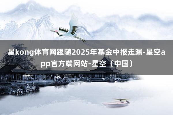 星kong体育网跟随2025年基金中报走漏-星空app官方端网站-星空（中国）