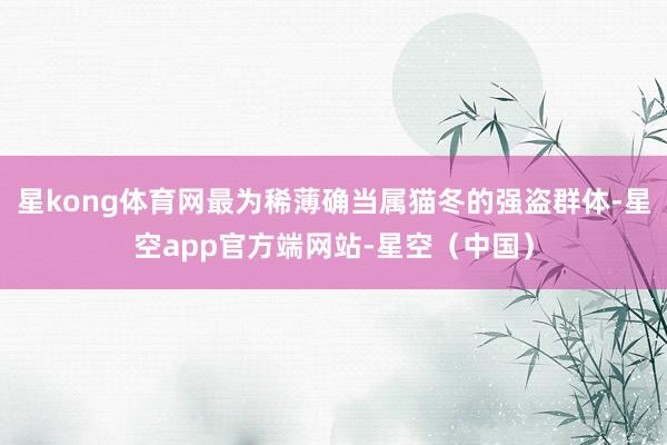 星kong体育网最为稀薄确当属猫冬的强盗群体-星空app官方端网站-星空（中国）