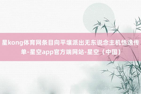 星kong体育网条目向平壤派出无东说念主机恬逸传单-星空app官方端网站-星空（中国）