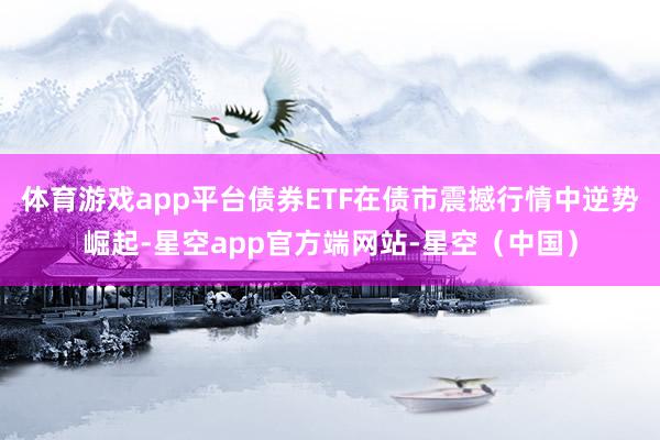 体育游戏app平台债券ETF在债市震撼行情中逆势崛起-星空app官方端网站-星空（中国）