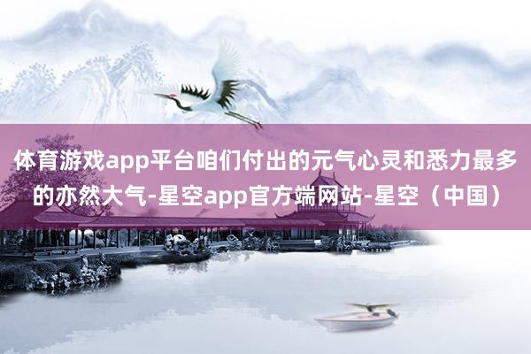 体育游戏app平台咱们付出的元气心灵和悉力最多的亦然大气-星空app官方端网站-星空（中国）