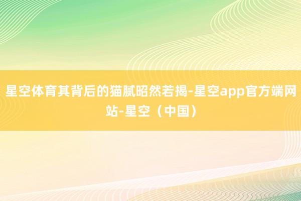 星空体育其背后的猫腻昭然若揭-星空app官方端网站-星空（中国）